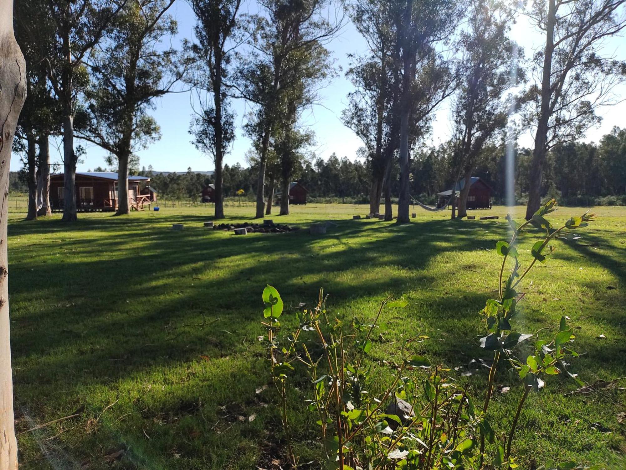 מלדונאדו Centro Los Alamos מראה חיצוני תמונה